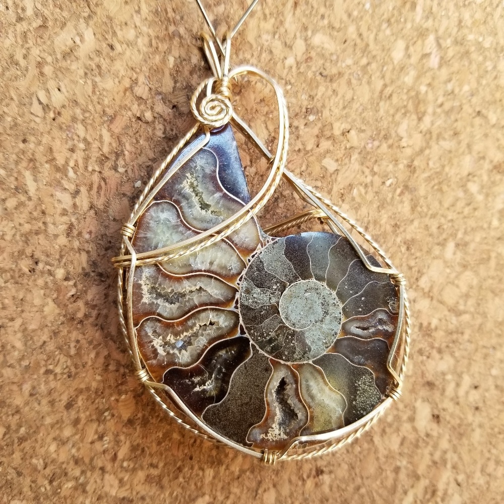 Fossilized Nautilus Pendant Wrapped in 24k wire